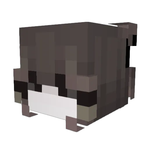 Briinana Minecraft avatar head, 3D render