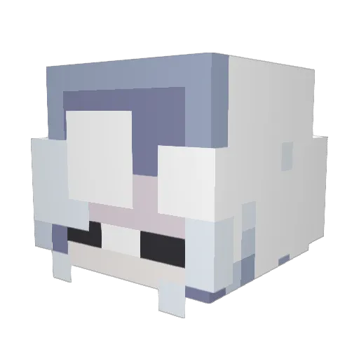 Brile Minecraft avatar head, 3D render
