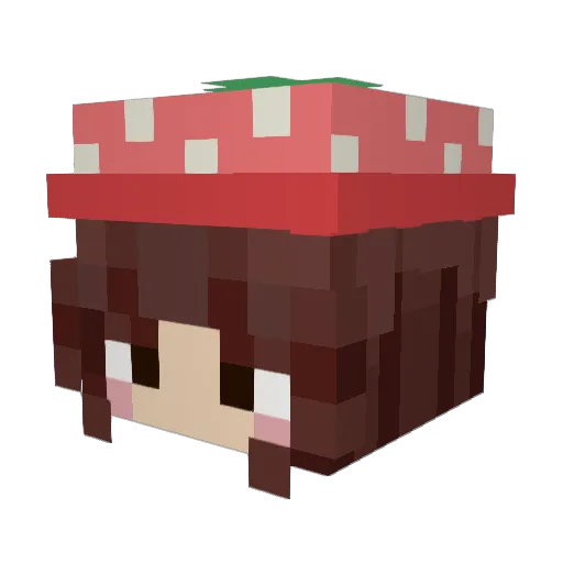 Brillianni Minecraft avatar head, 3D render