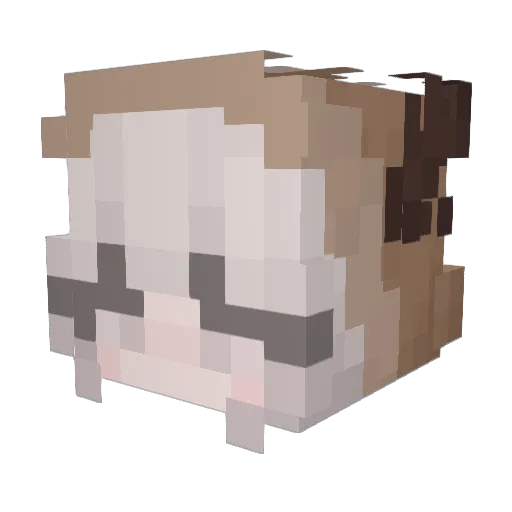 Brillii Minecraft avatar head, 3D render