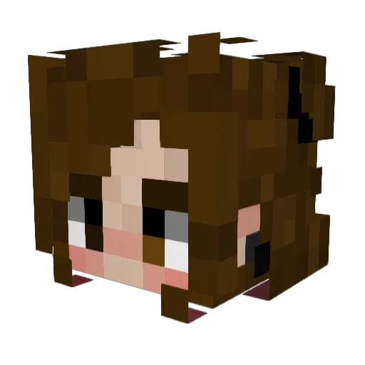 Briluga Minecraft avatar head, 3D render
