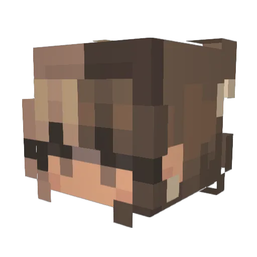BrimBrim1 Minecraft avatar head, 3D render