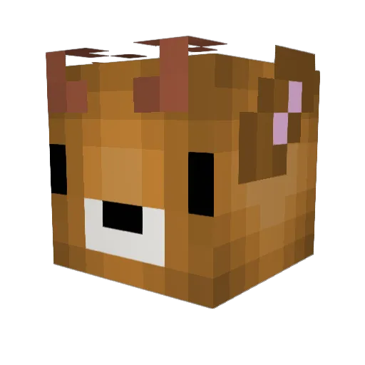 Brims01 Minecraft avatar head, 3D render