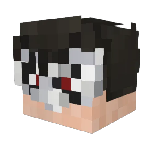 Brimz123 Minecraft avatar head, 3D render