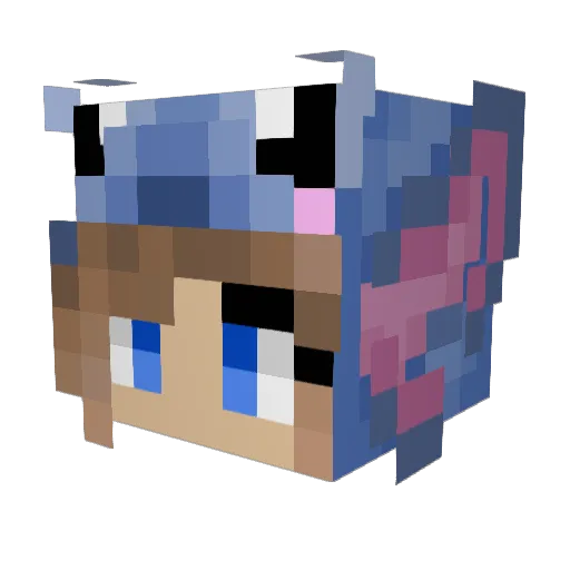 Brinck04 Minecraft avatar head, 3D render
