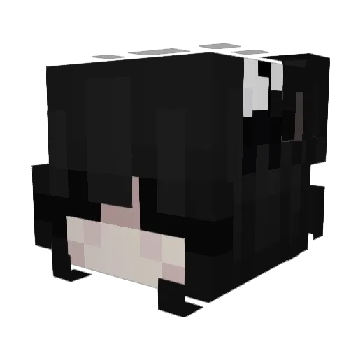 BringBackElytra Minecraft avatar head, 3D render