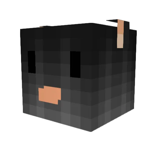 BringMeTheDope Minecraft avatar head, 3D render