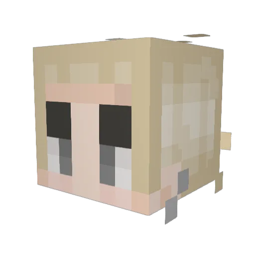BringerOfMilk Minecraft avatar head, 3D render