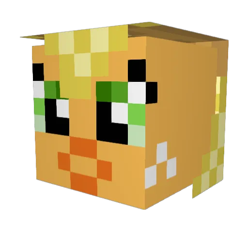 BringinJustice Minecraft avatar head, 3D render