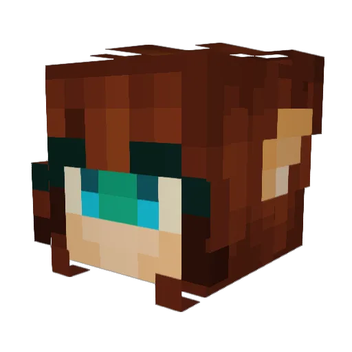 Bringx Minecraft avatar head, 3D render