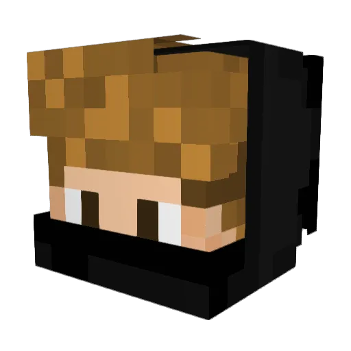 Brinkin29 Minecraft avatar head, 3D render