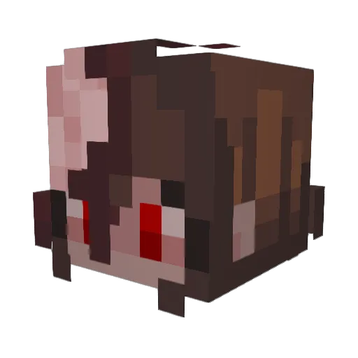 Brinkwater Minecraft avatar head, 3D render