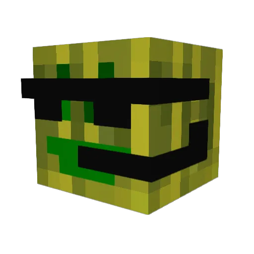 Brinley5 Minecraft avatar head, 3D render