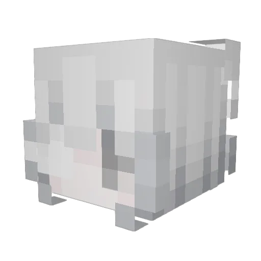 Brinski123 Minecraft avatar head, 3D render