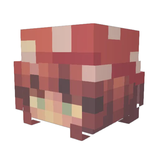 Brisalice Minecraft avatar head, 3D render