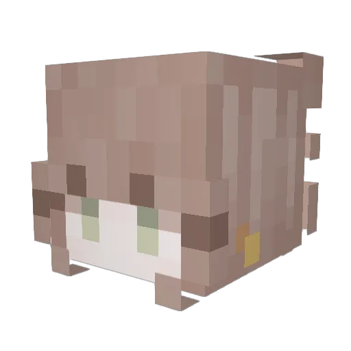 Brishu Minecraft avatar head, 3D render