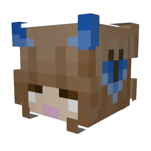 Brissaa12 Minecraft avatar head, 3D render
