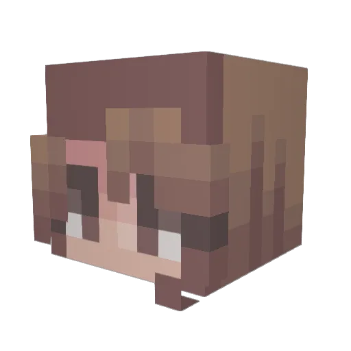 Bristletail Minecraft avatar head, 3D render