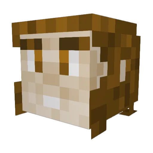 BristlyAdmiral Minecraft avatar head, 3D render