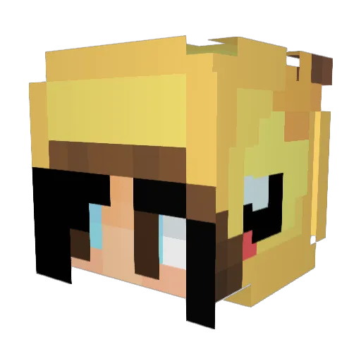 Bristol_Captain Minecraft avatar head, 3D render