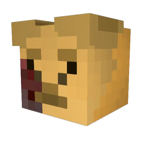 Britakee Minecraft avatar head, 3D render