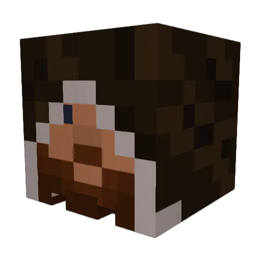 Britcan_ Minecraft avatar head, 3D render