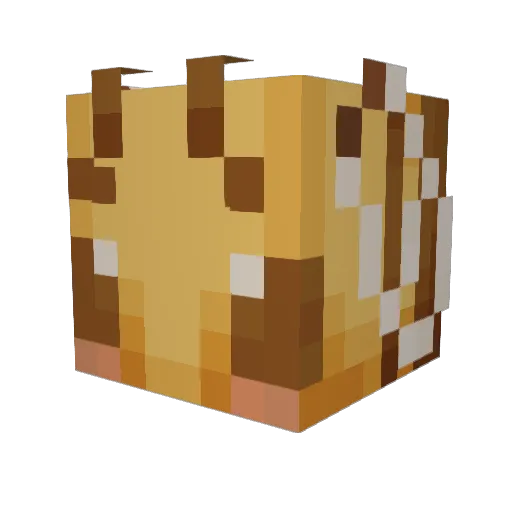 Brittle_Bees Minecraft avatar head, 3D render