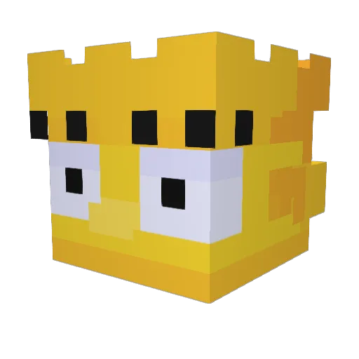 Briv24 Minecraft avatar head, 3D render