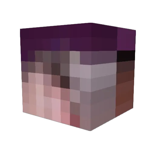 Brix0nguy Minecraft avatar head, 3D render
