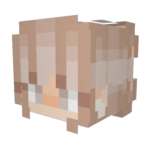 Brixiex Minecraft avatar head, 3D render