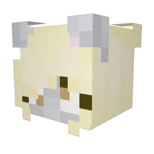 Brixinbow Minecraft avatar head, 3D render
