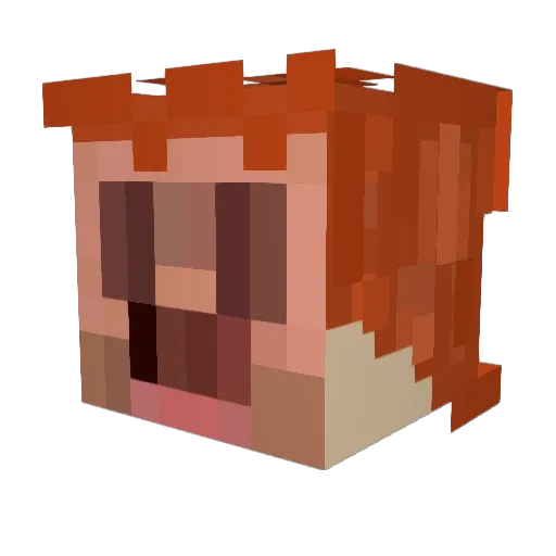 Brixntx Minecraft avatar head, 3D render