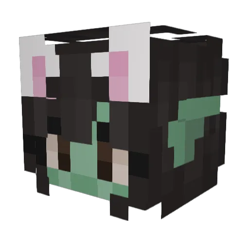 BrixxiRados Minecraft avatar head, 3D render
