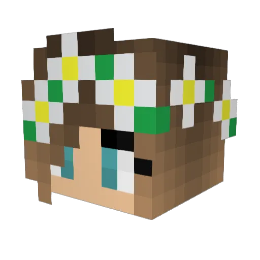 Briz1997 Minecraft avatar head, 3D render