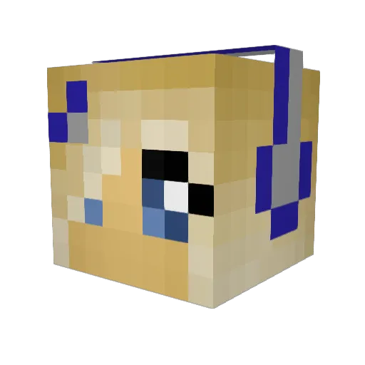 BrizyBee Minecraft avatar head, 3D render