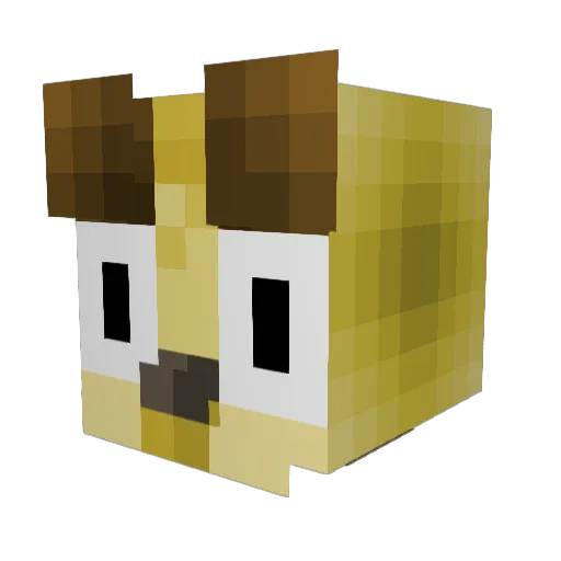 Brnsnsn Minecraft avatar head, 3D render