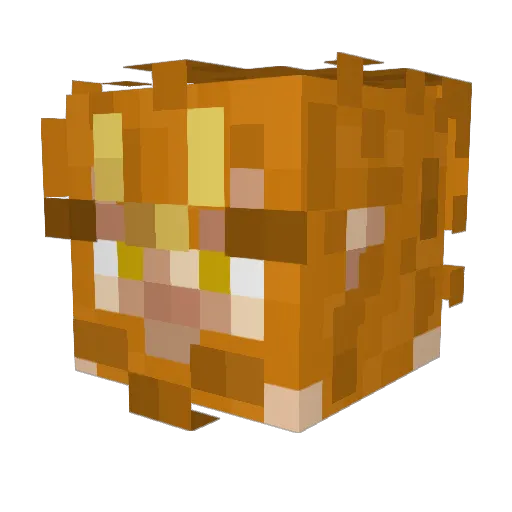 BrntBiscuit Minecraft avatar head, 3D render