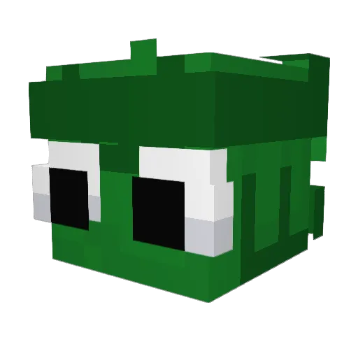 Bro1519 Minecraft avatar head, 3D render