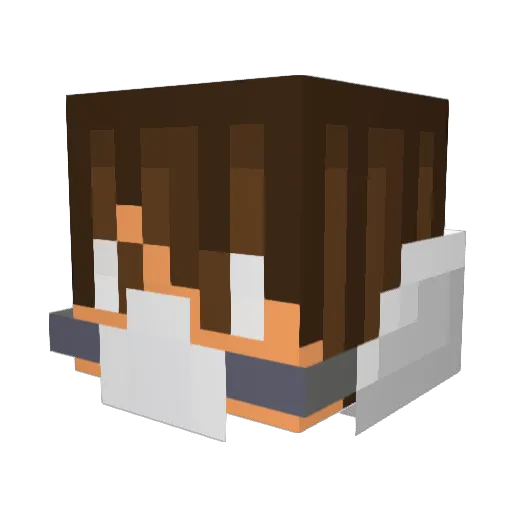 Bro3_5 Minecraft avatar head, 3D render