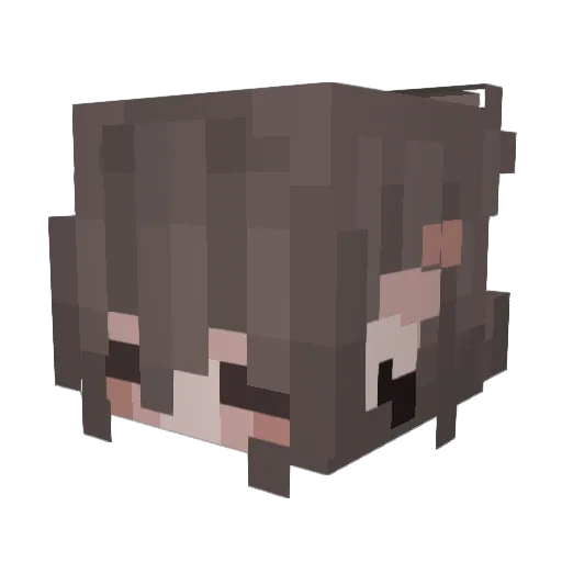 BroBotnik Minecraft avatar head, 3D render