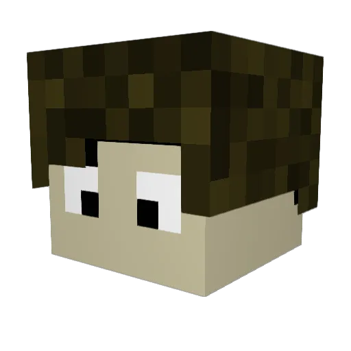 BroGamer869 Minecraft avatar head, 3D render