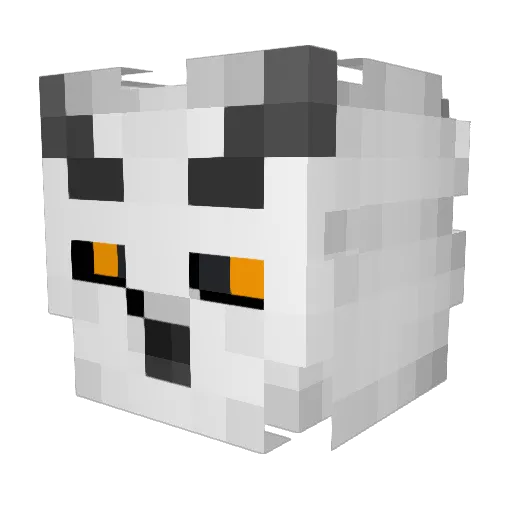 BroGamerACDC Minecraft avatar head, 3D render