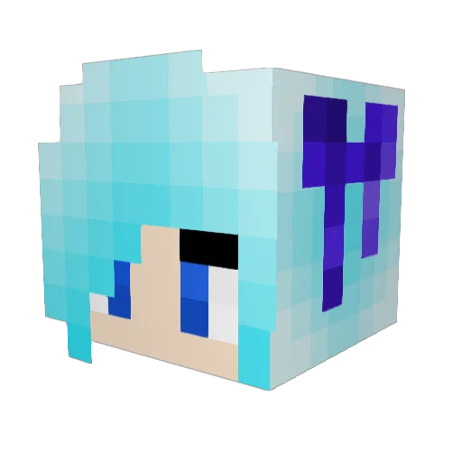 BroPassMeDaChips Minecraft avatar head, 3D render