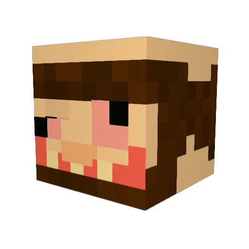 BroPro88 Minecraft avatar head, 3D render
