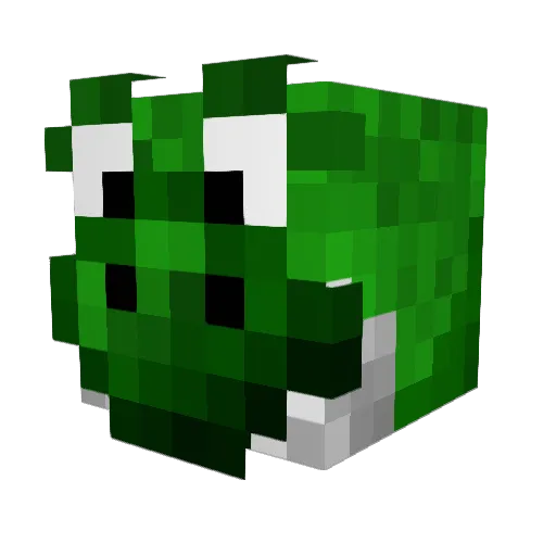BroSquadForLife Minecraft avatar head, 3D render