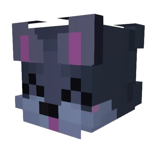 Bro_Gamer_1 Minecraft avatar head, 3D render