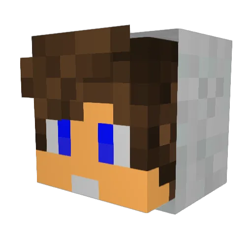 Bro_Laym Minecraft avatar head, 3D render