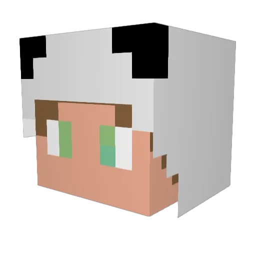 Bro_Mario Minecraft avatar head, 3D render