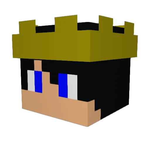 Bro_Robbi Minecraft avatar head, 3D render