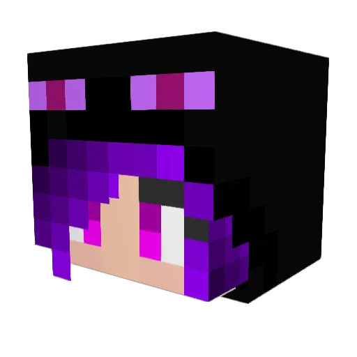 BroadPhyton7967 Minecraft avatar head, 3D render